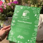 Eco Schools Green Flag Award